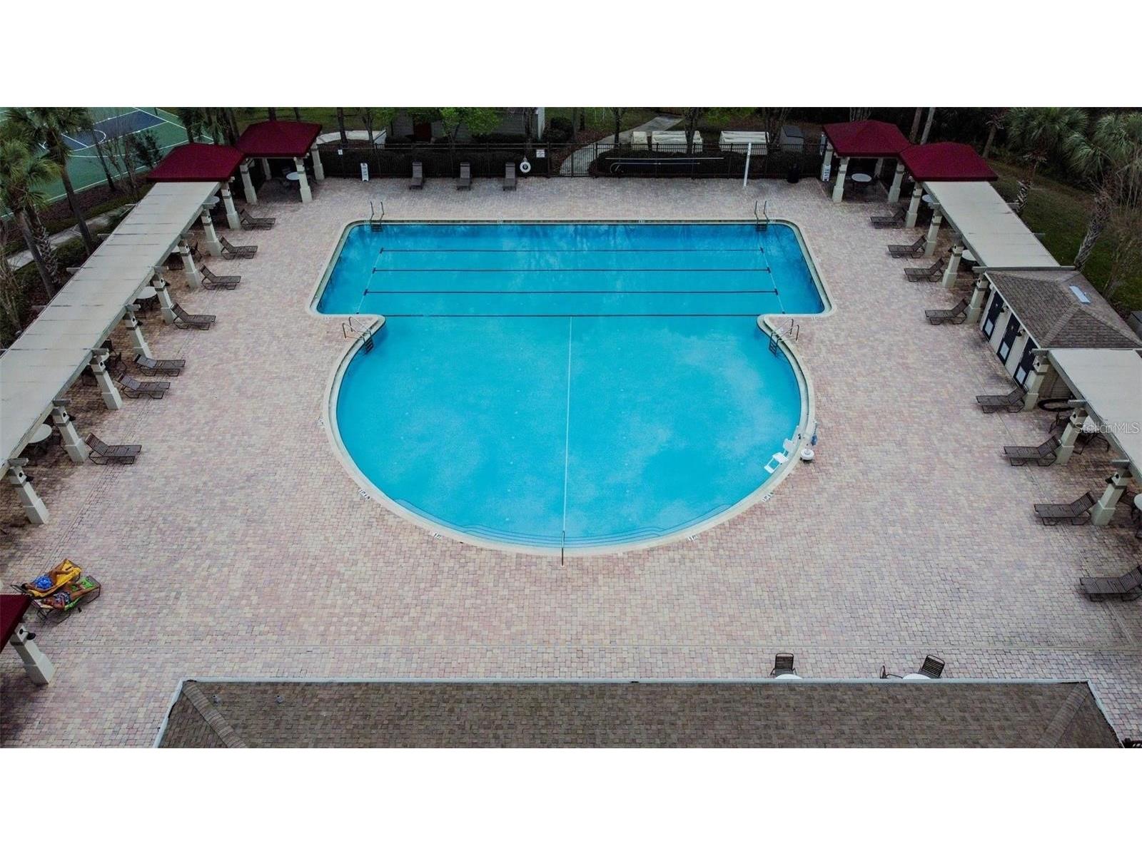 3587 Bellmeade Court #3587 Wesley Chapel FL 33543 TB8500068 image39