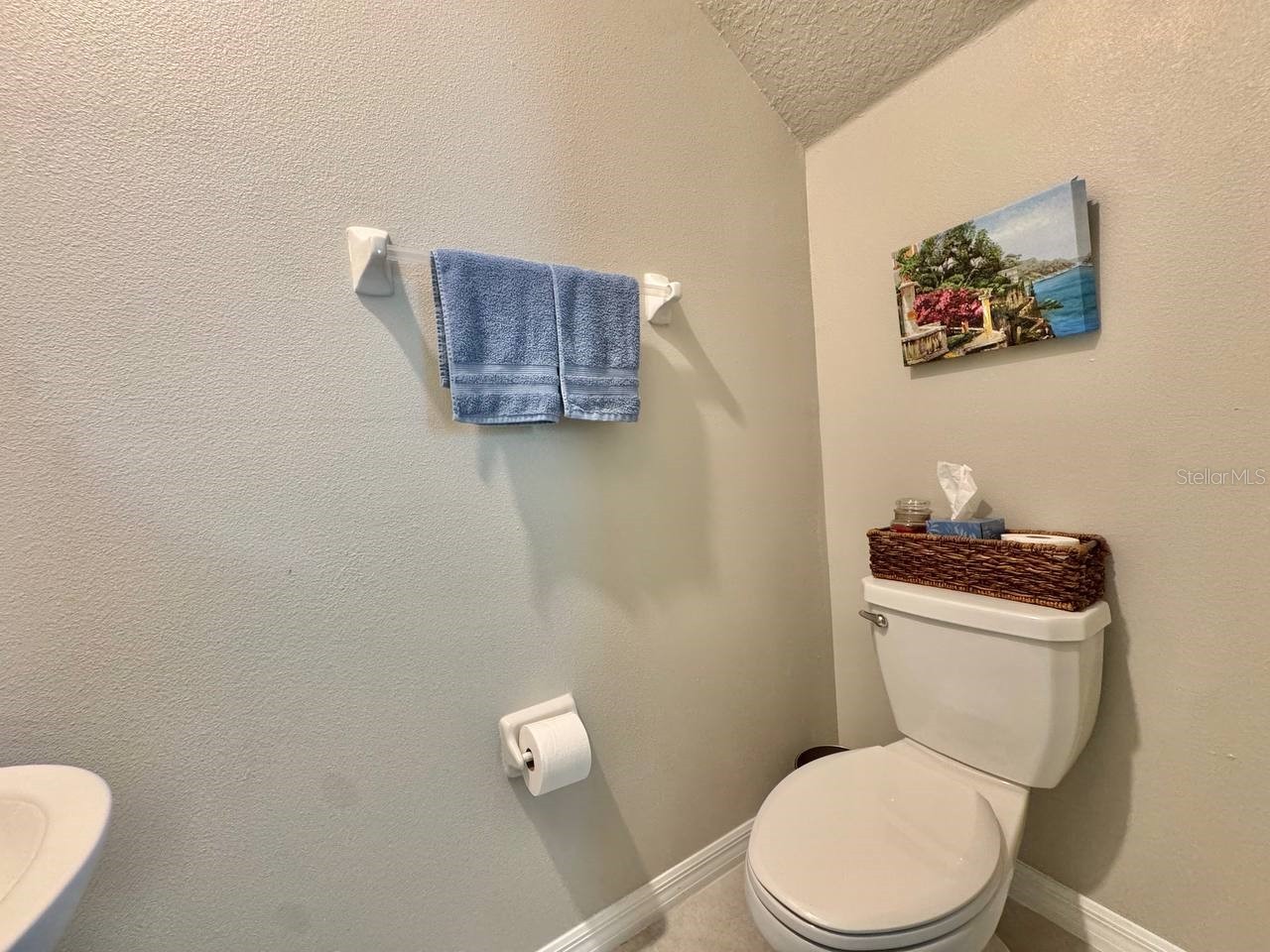 3587 Bellmeade Court #3587 Wesley Chapel FL 33543 TB8500068 image8