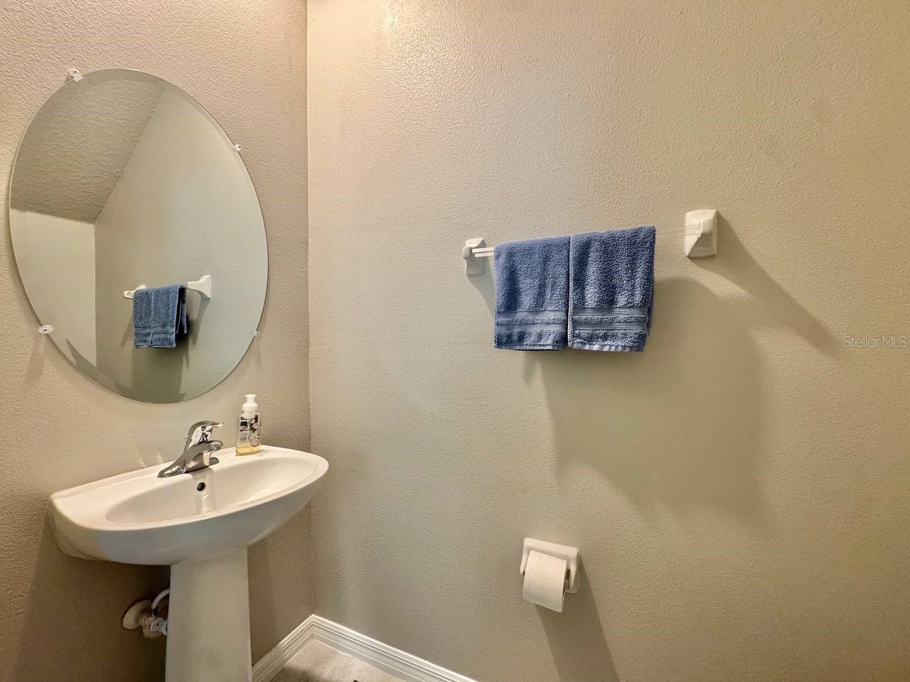 3587 Bellmeade Court #3587 Wesley Chapel FL 33543 TB8500068 image9