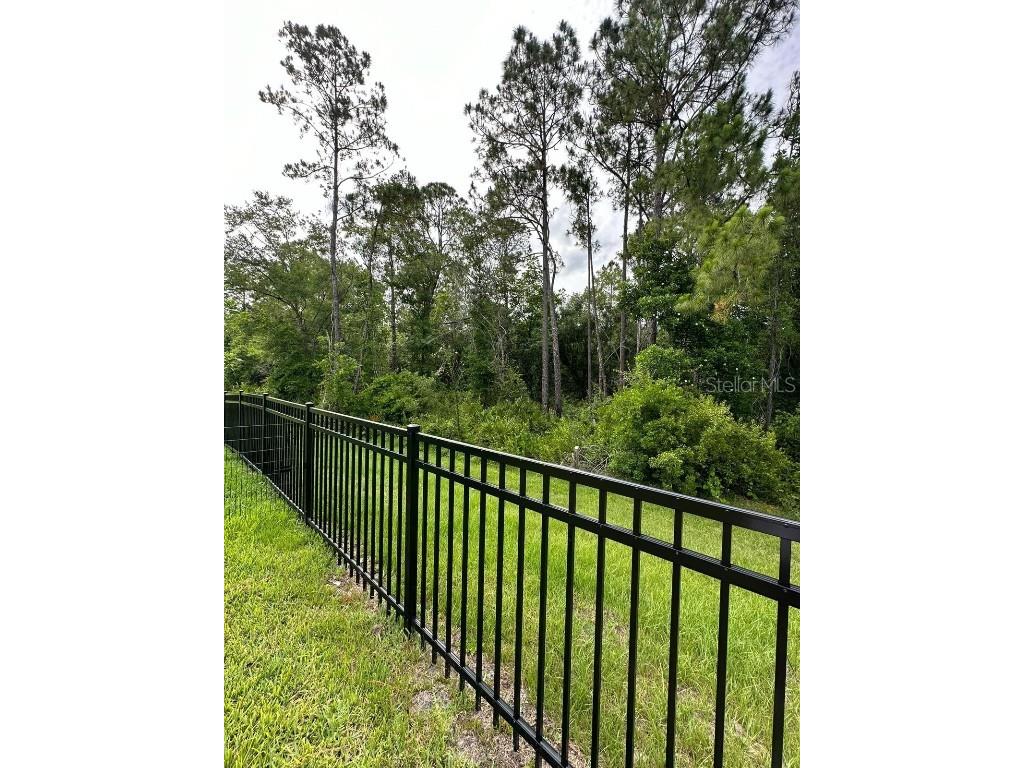 3587 Davenport Creek Court Kissimmee FL 34746 S5136434 image4