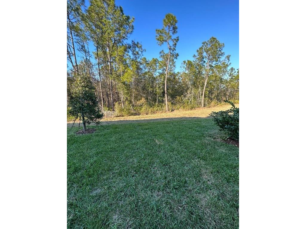 3587 Davenport Creek Court Kissimmee FL 34746 S5136434 image5