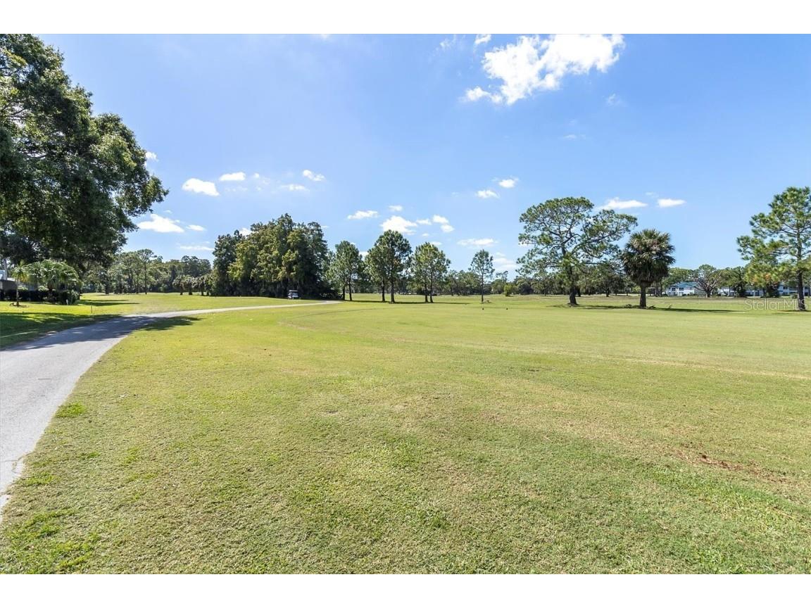 3587 Fairway Forest Drive Palm Harbor FL 34685 W7876727 image38