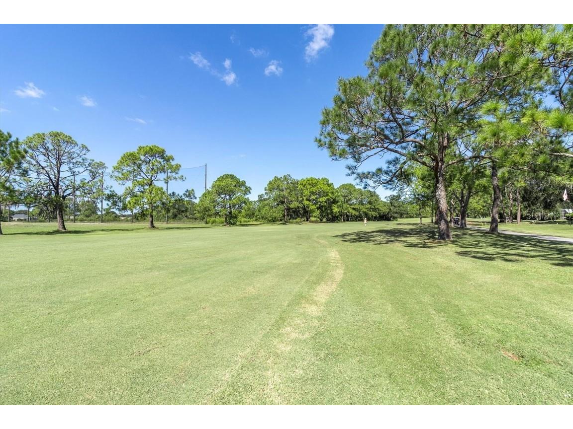 3587 Fairway Forest Drive Palm Harbor FL 34685 W7876727 image39