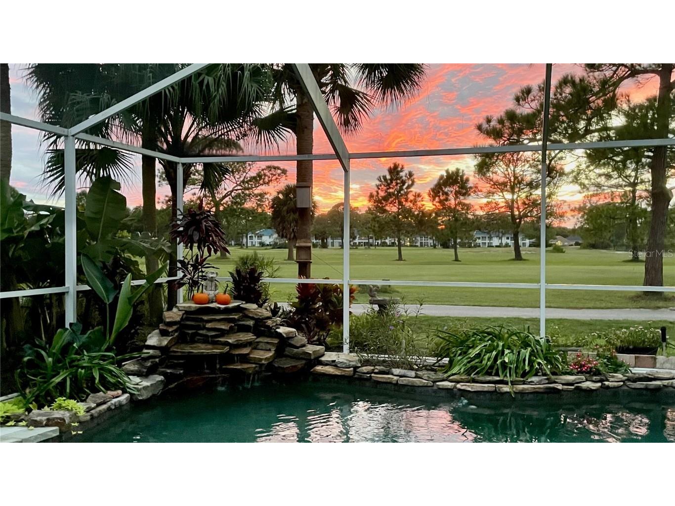 3587 Fairway Forest Drive Palm Harbor FL 34685 W7876727 image40