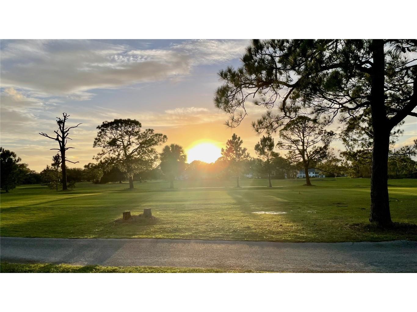 3587 Fairway Forest Drive Palm Harbor FL 34685 W7876727 image42