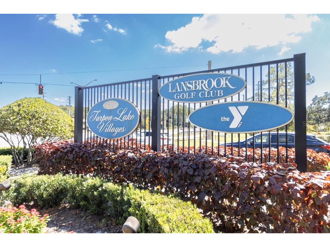 3587 Fairway Forest Drive Palm Harbor FL 34685 W7876727 image45