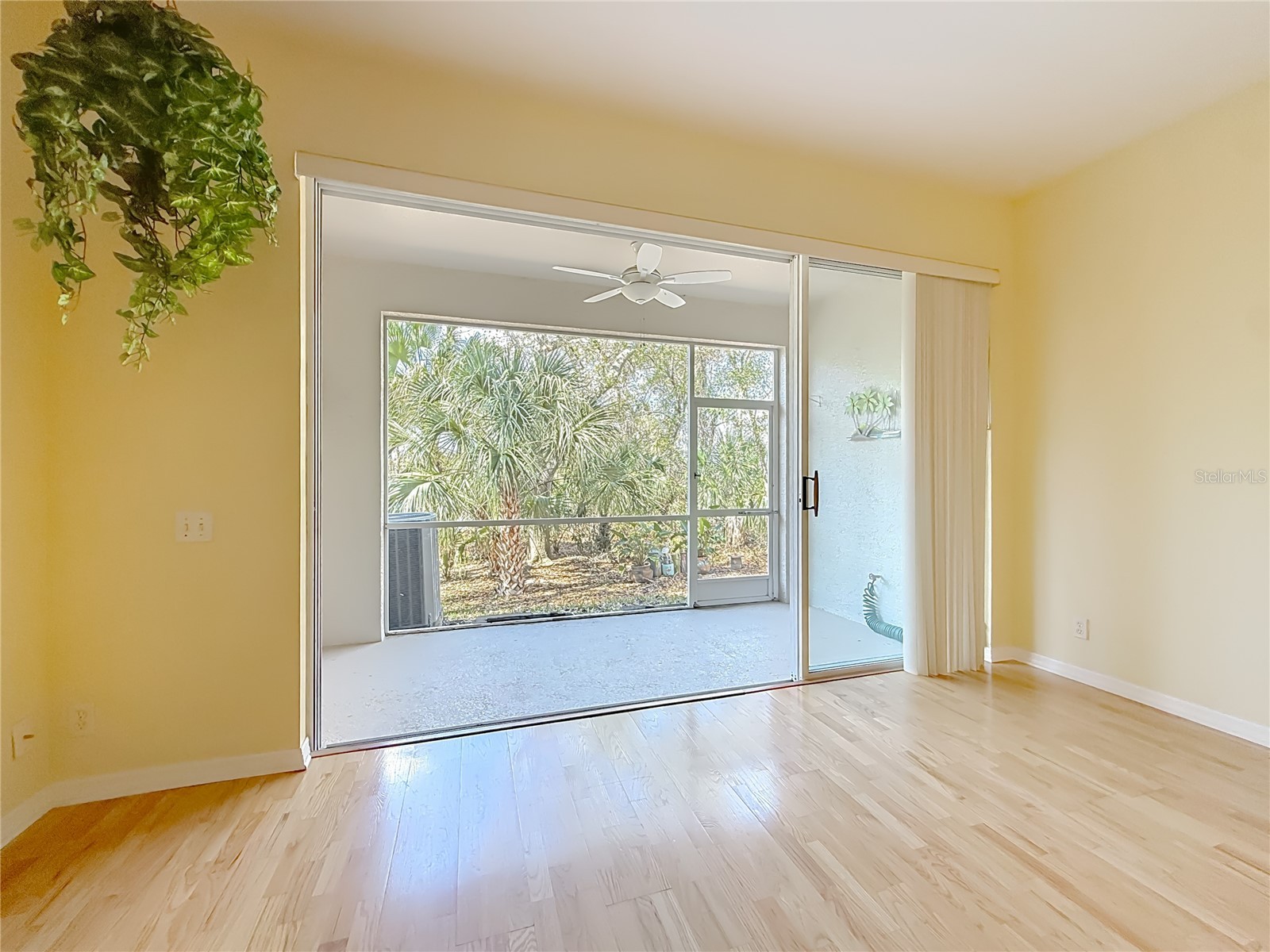 3589 Country Pointe Place Palm Harbor FL 34684 TB8477563 image11