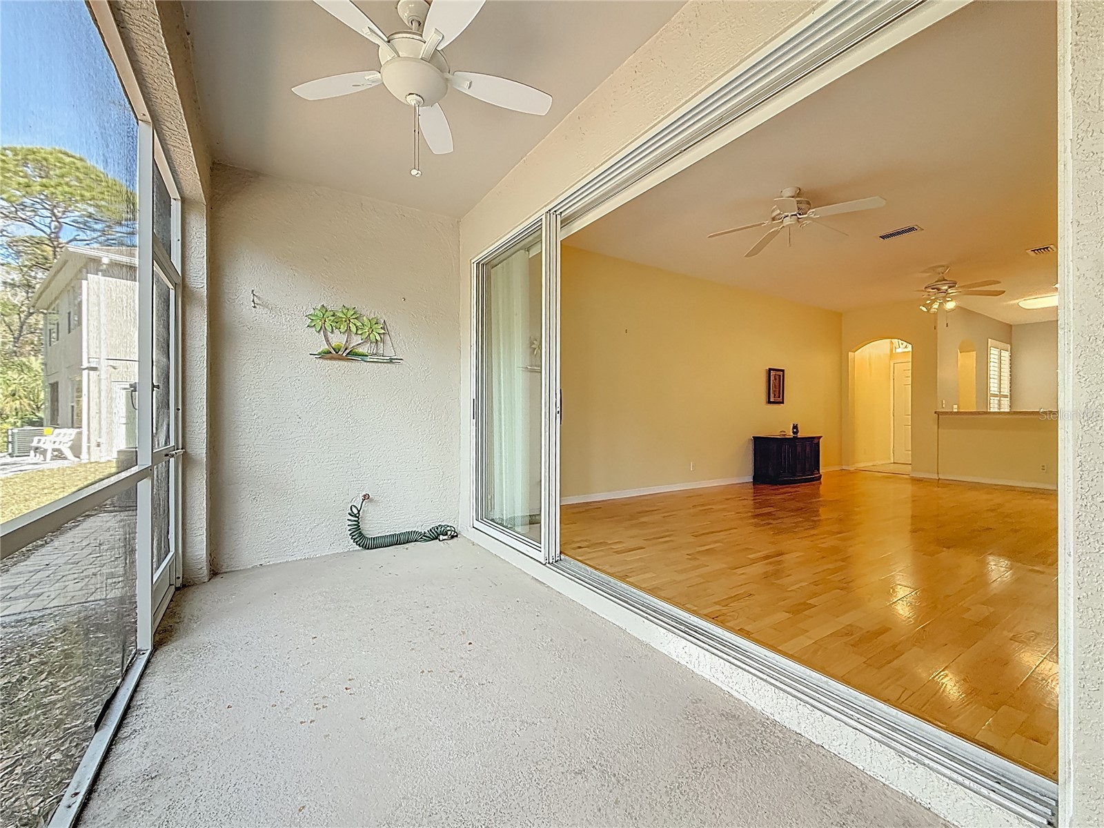 3589 Country Pointe Place Palm Harbor FL 34684 TB8477563 image13