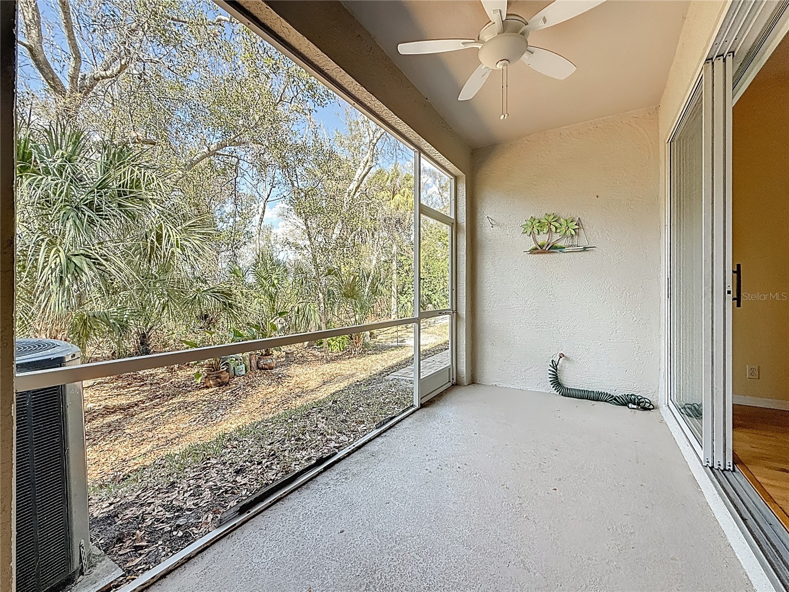 3589 Country Pointe Place Palm Harbor FL 34684 TB8477563 image14