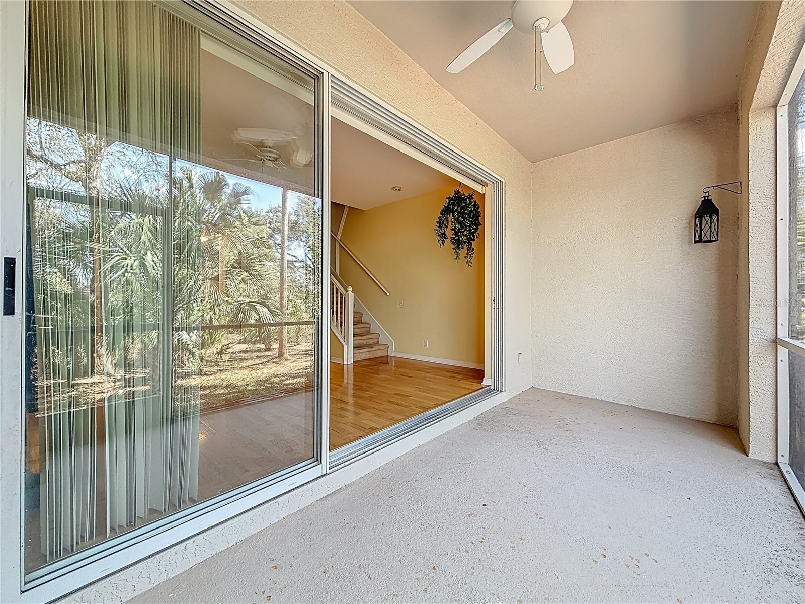 3589 Country Pointe Place Palm Harbor FL 34684 TB8477563 image15