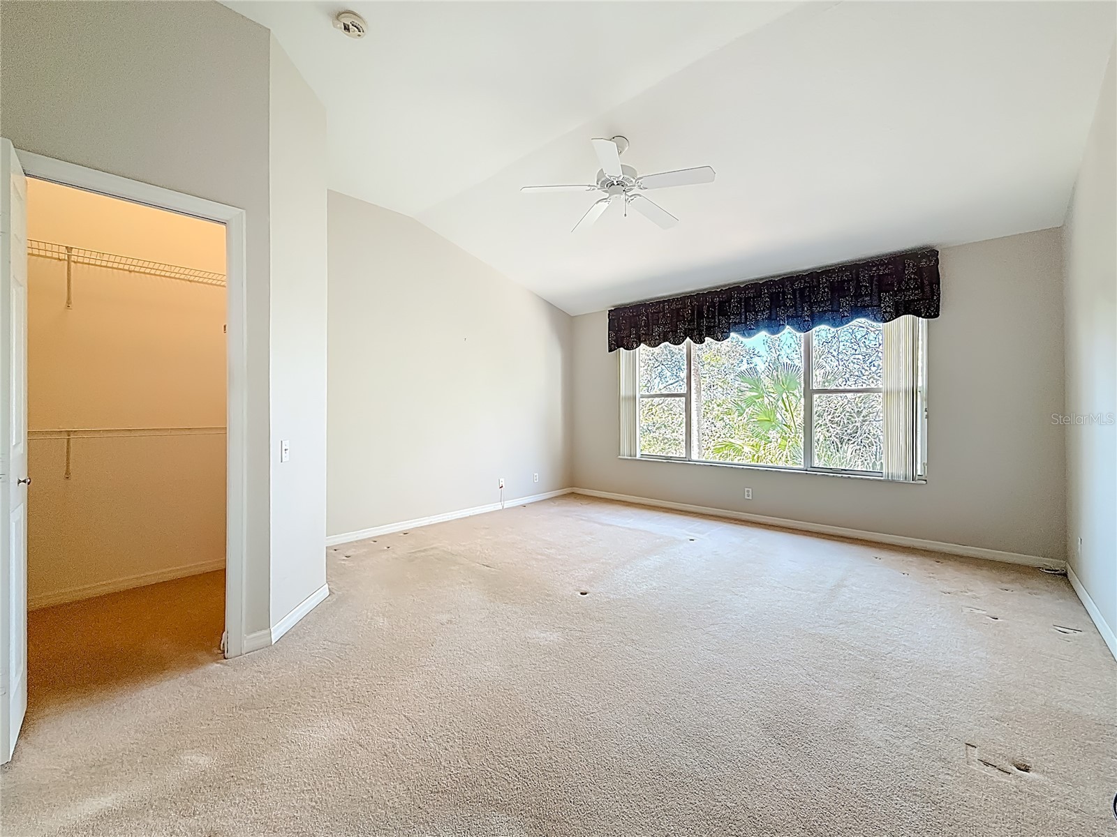 3589 Country Pointe Place Palm Harbor FL 34684 TB8477563 image17