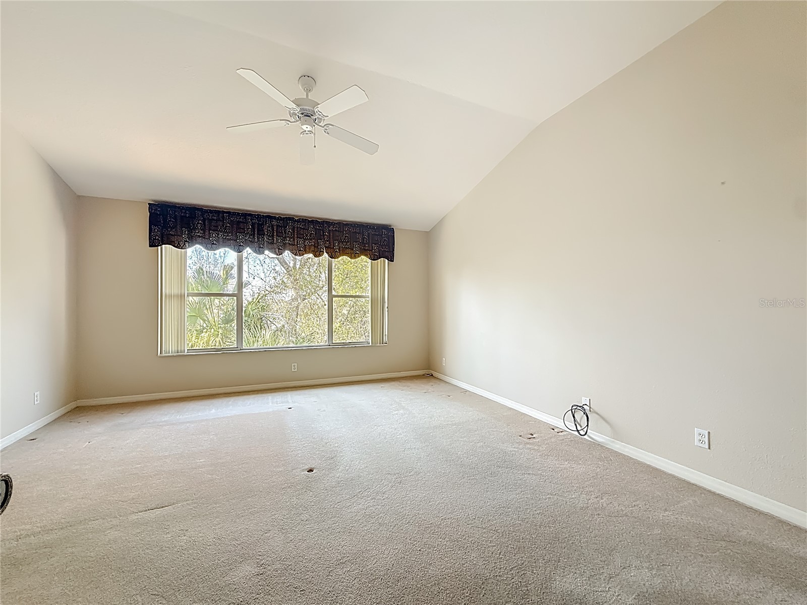 3589 Country Pointe Place Palm Harbor FL 34684 TB8477563 image18