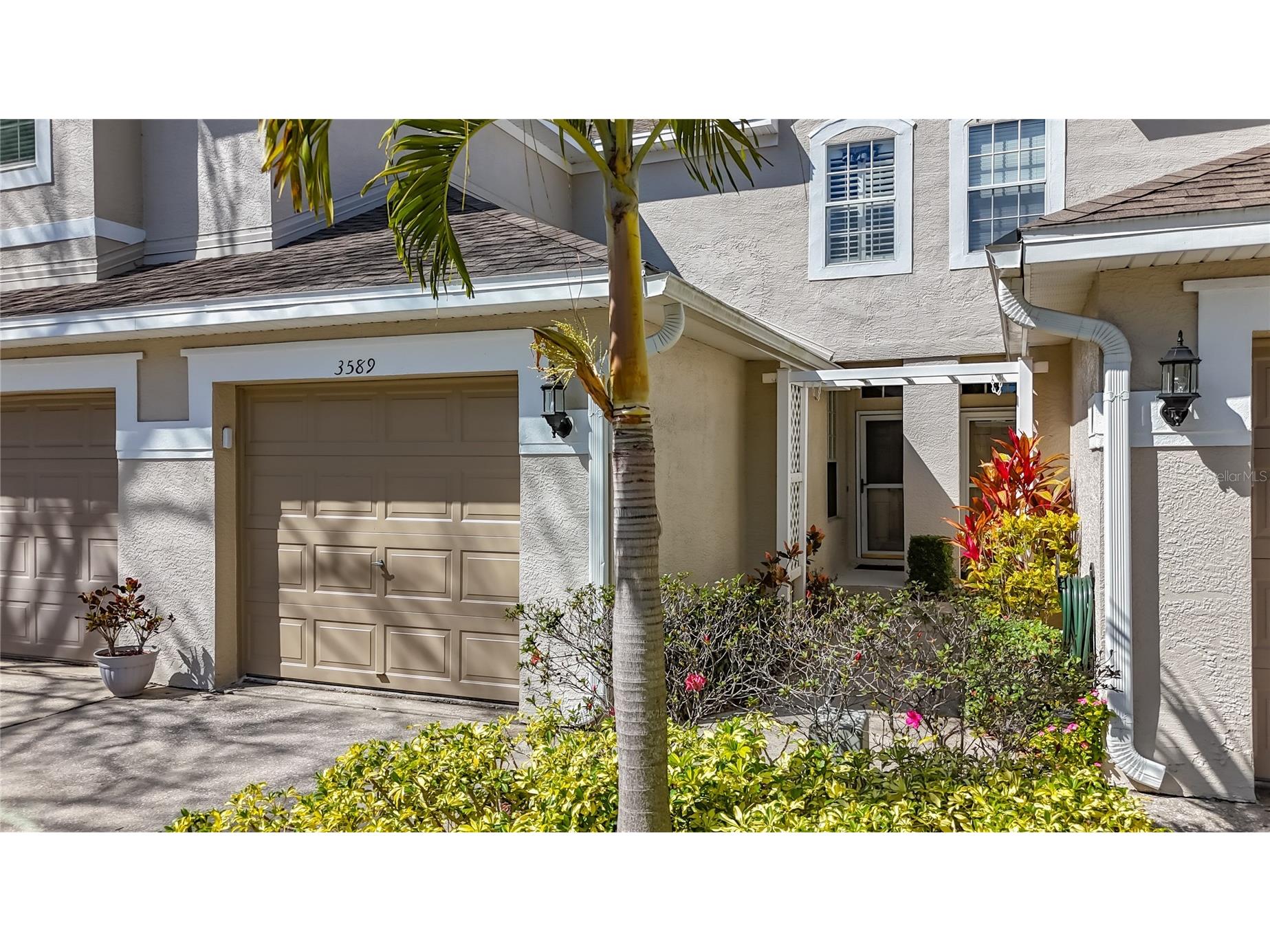 3589 Country Pointe Place Palm Harbor FL 34684 TB8477563 image2