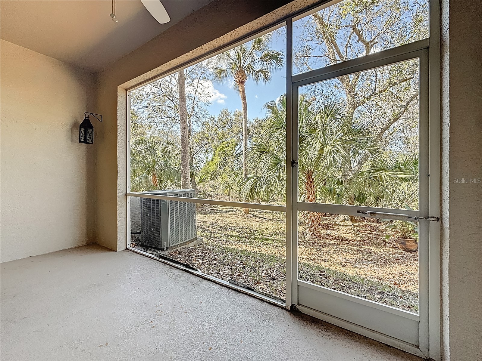 3589 Country Pointe Place Palm Harbor FL 34684 TB8477563 image25