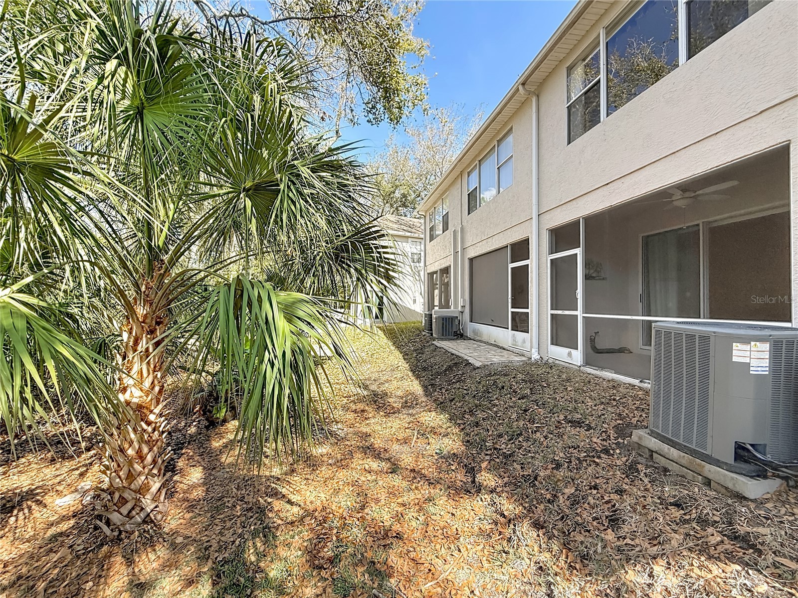 3589 Country Pointe Place Palm Harbor FL 34684 TB8477563 image26