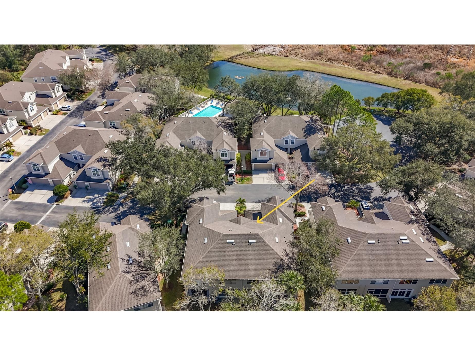 3589 Country Pointe Place Palm Harbor FL 34684 TB8477563 image27