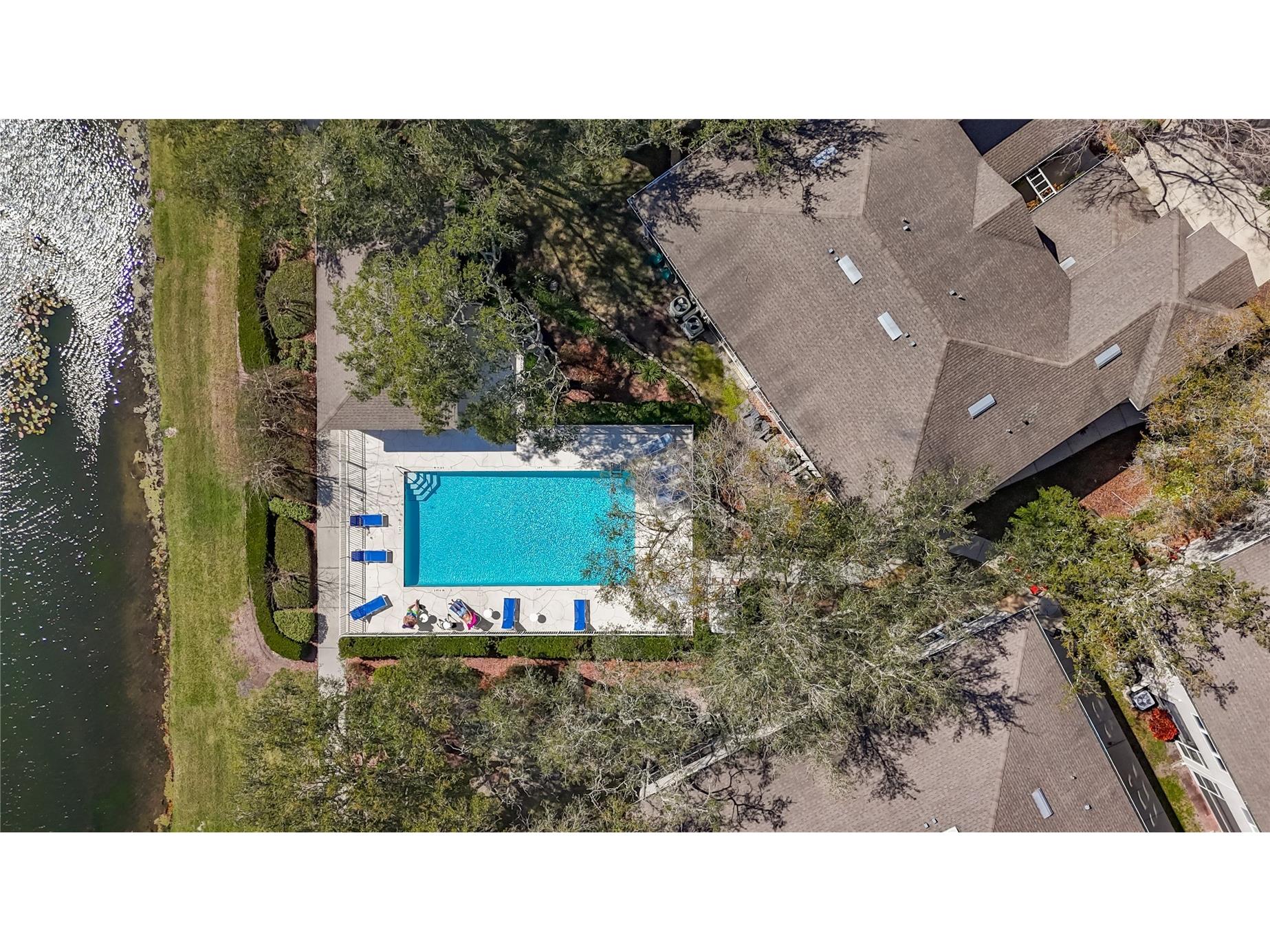 3589 Country Pointe Place Palm Harbor FL 34684 TB8477563 image28