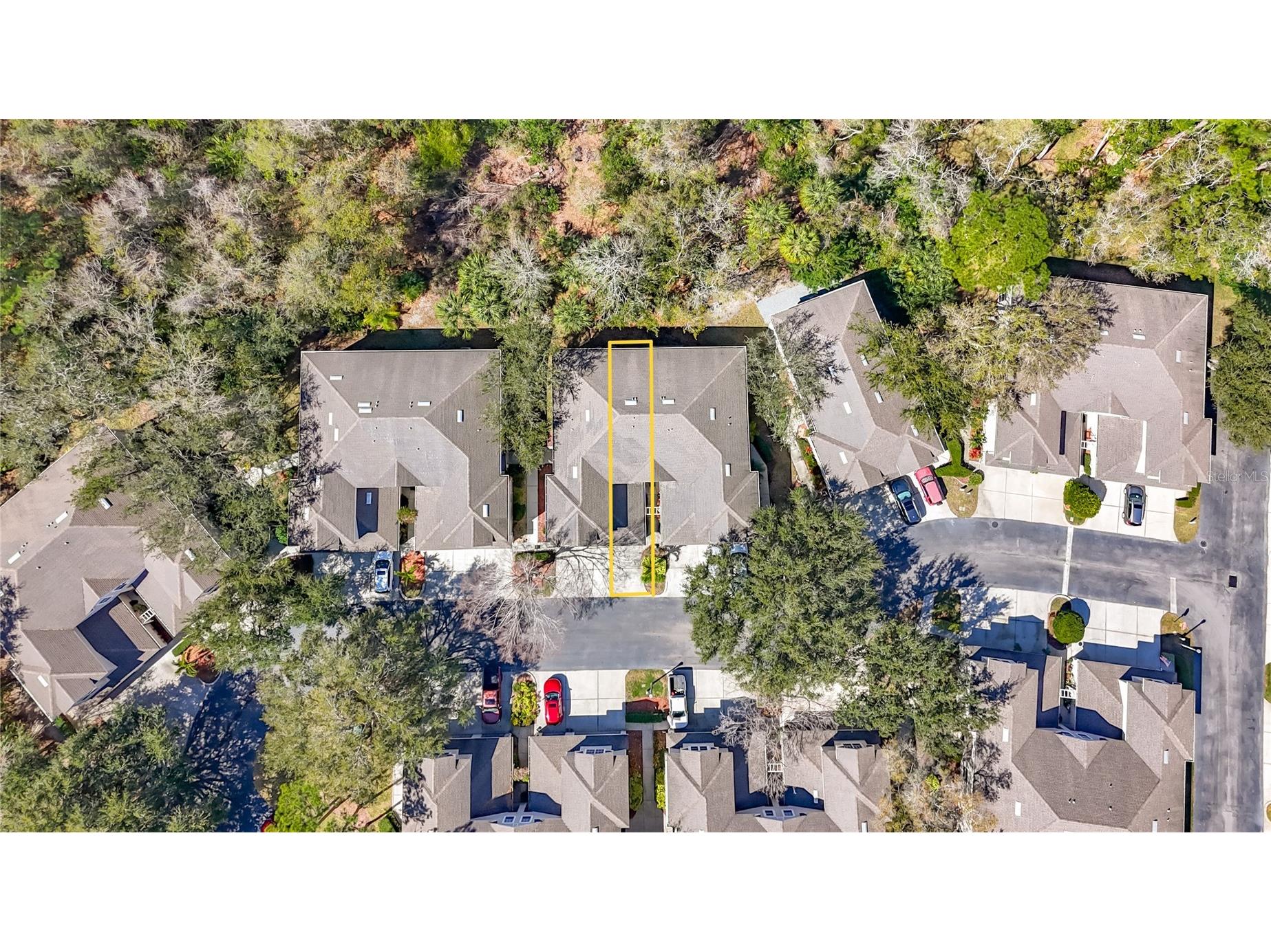 3589 Country Pointe Place Palm Harbor FL 34684 TB8477563 image29