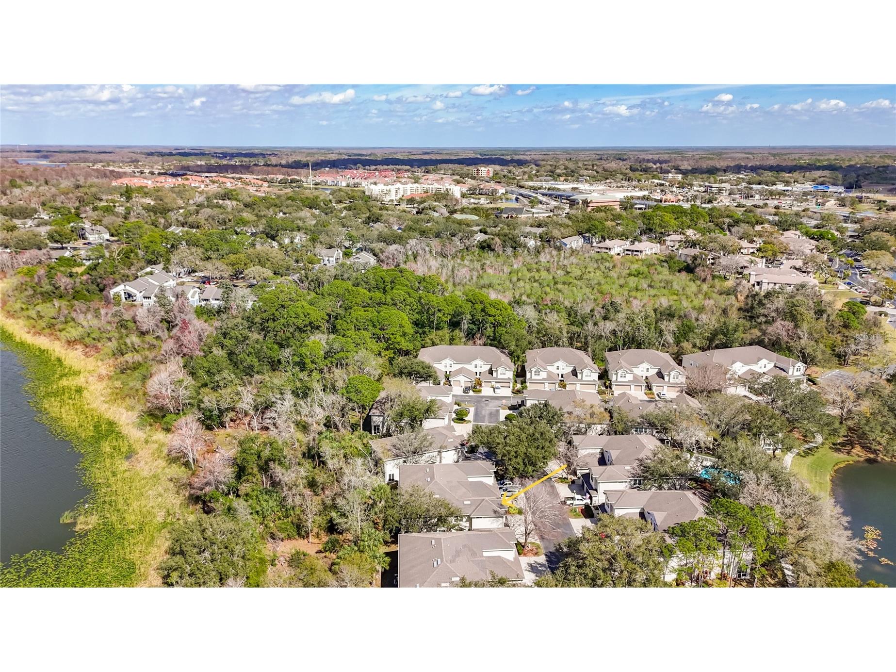 3589 Country Pointe Place Palm Harbor FL 34684 TB8477563 image30