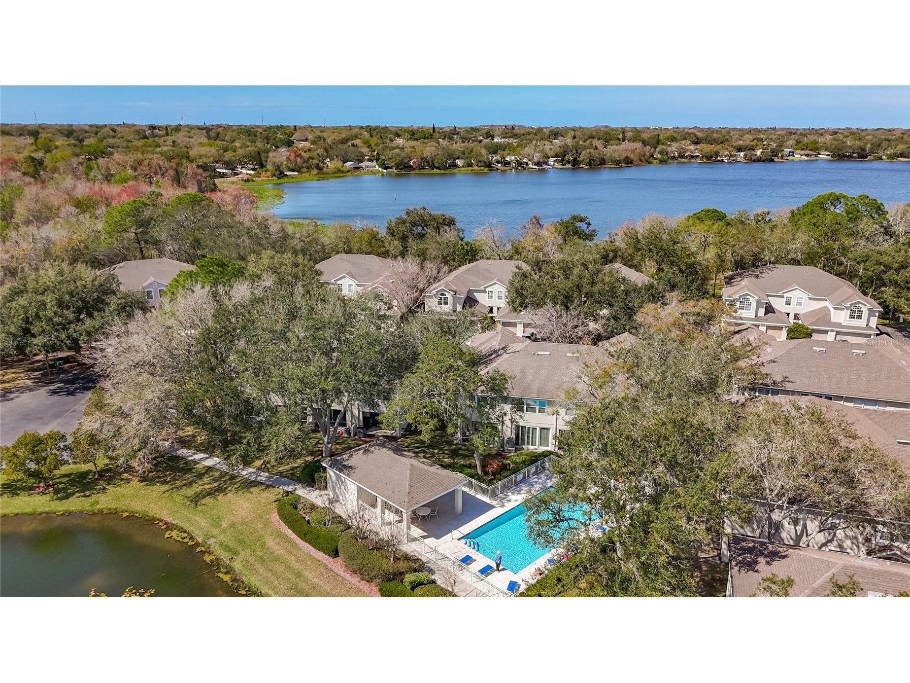 3589 Country Pointe Place Palm Harbor FL 34684 TB8477563 image31