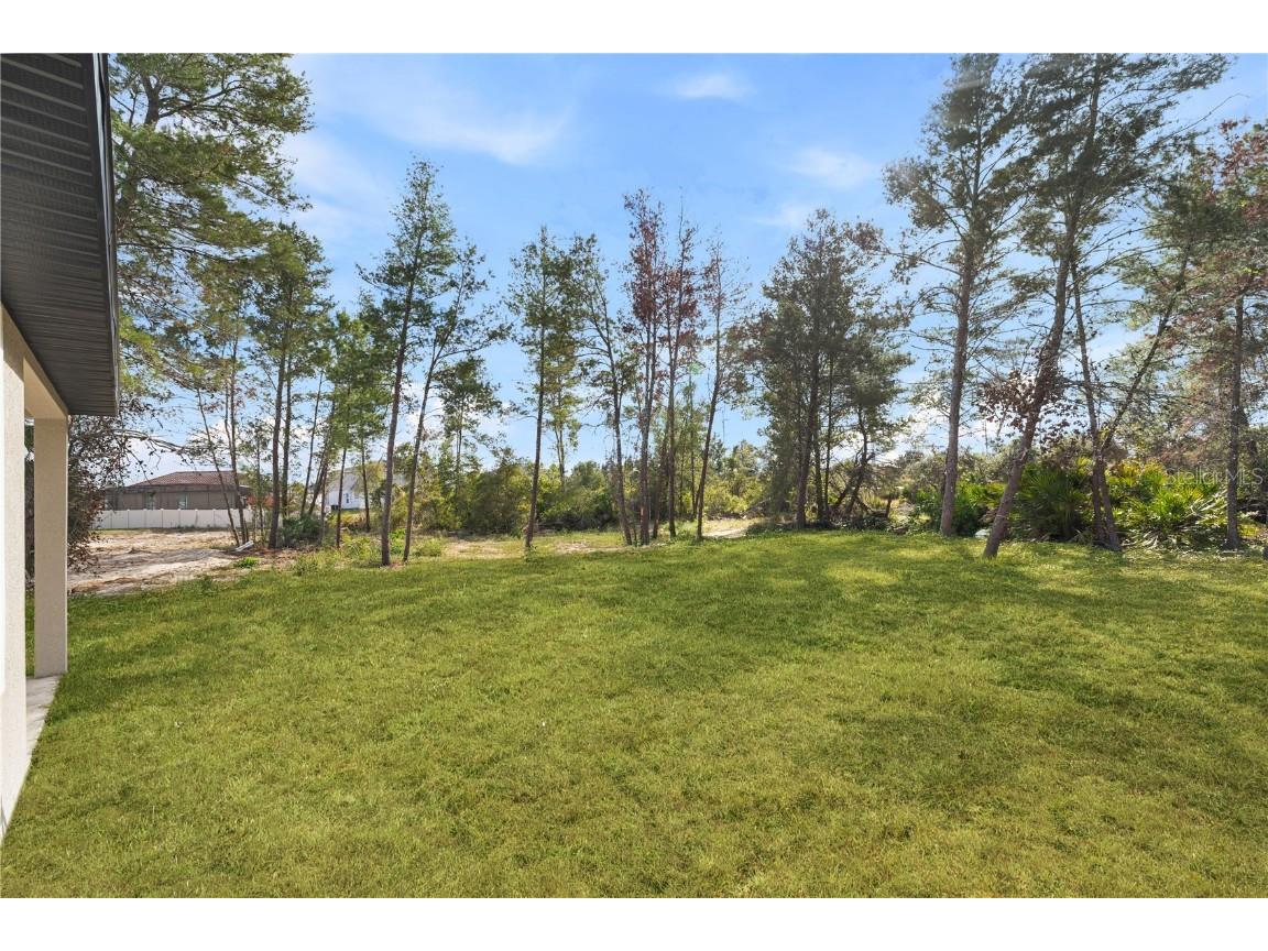 359 Camellia Court Poinciana FL 34759 O6368772 image8