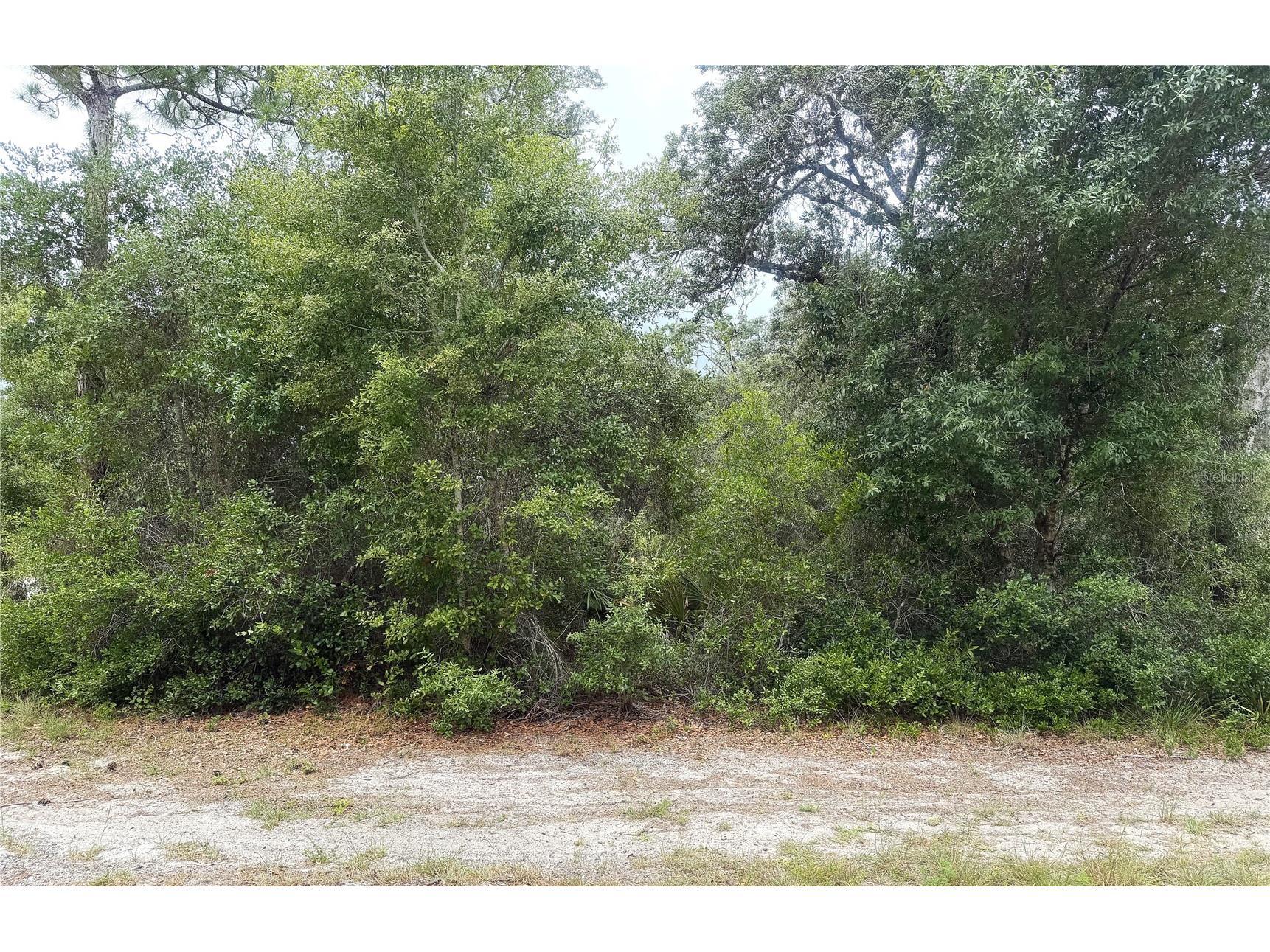 359 Coolidge Avenue NE Lake Placid FL 33852 L4962618 image1