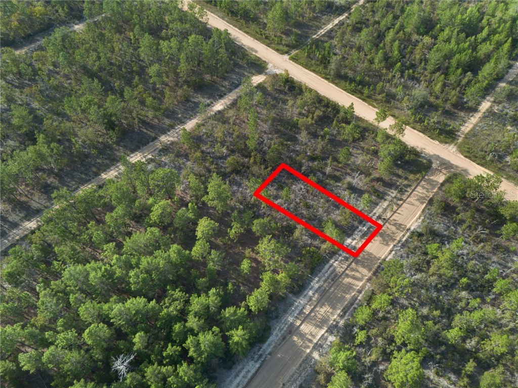 359 Dothan Street Interlachen FL 32148 GC534281 image2