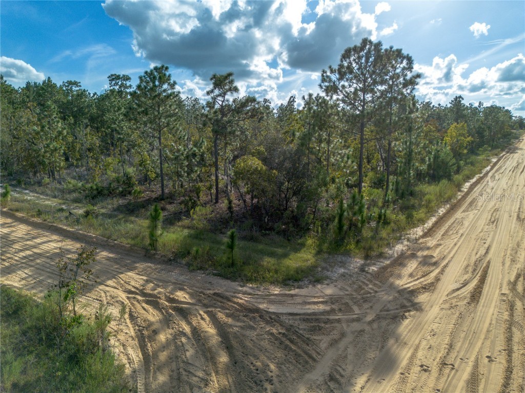 359 Dothan Street Interlachen FL 32148 GC534281 image3