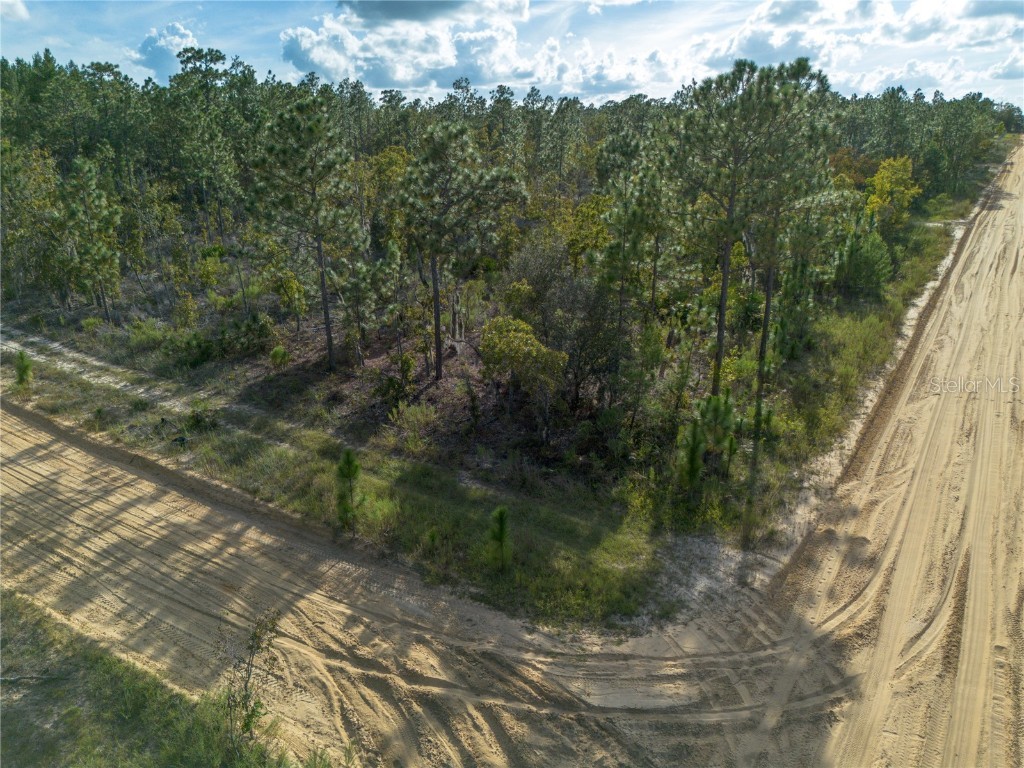 359 Dothan Street Interlachen FL 32148 GC534281 image4