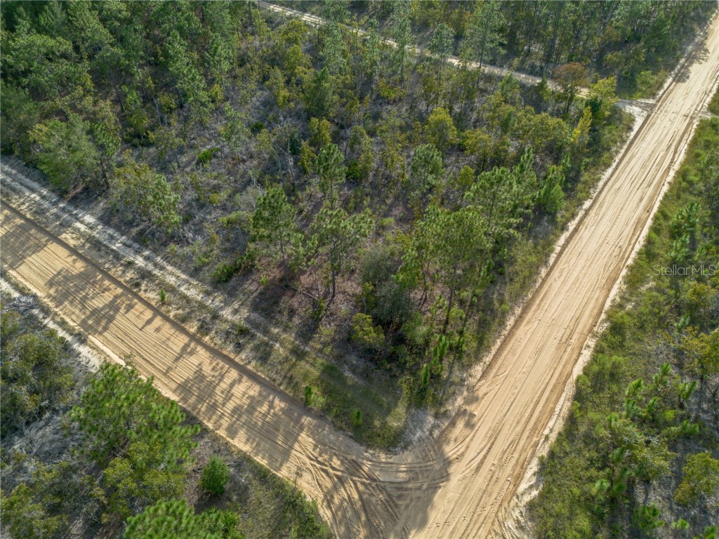 359 Dothan Street Interlachen FL 32148 GC534281 image5