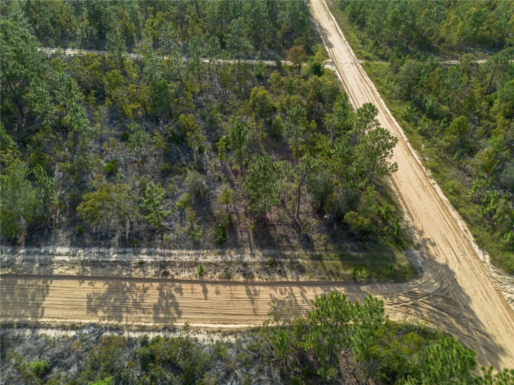 359 Dothan Street Interlachen FL 32148 GC534281 image6