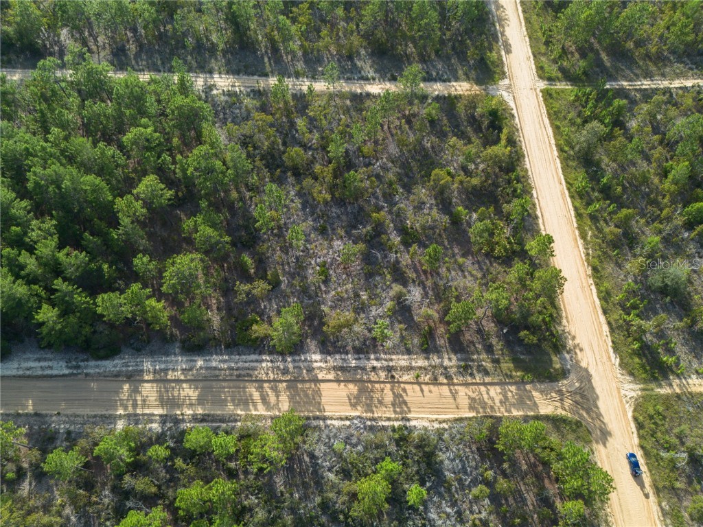 359 Dothan Street Interlachen FL 32148 GC534281 image7