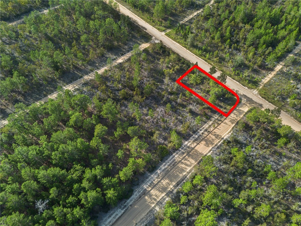 359 Dothan Street Interlachen FL 32148 GC534281 image8