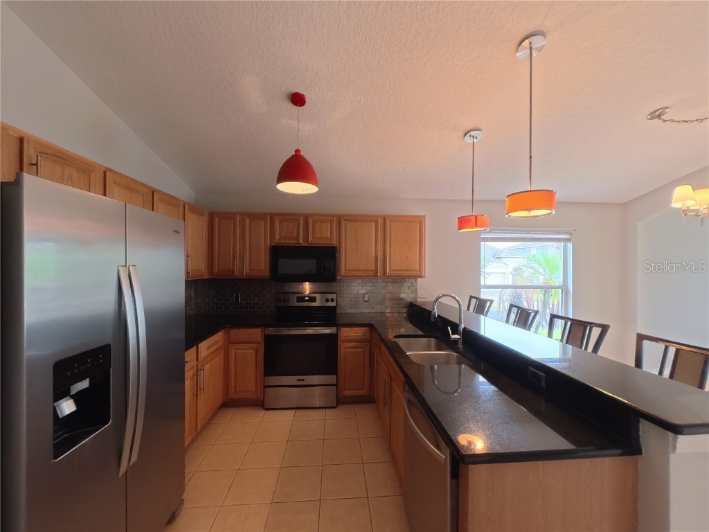 359 Lancaster Drive Davenport FL 33897 A4667428 image13