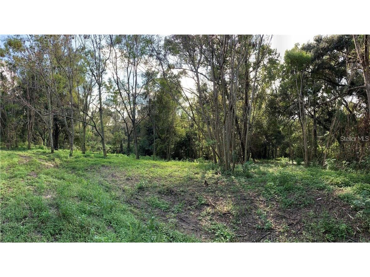 359 Savannah Oaks Drive Brooksville FL 34602 T3492307 image1