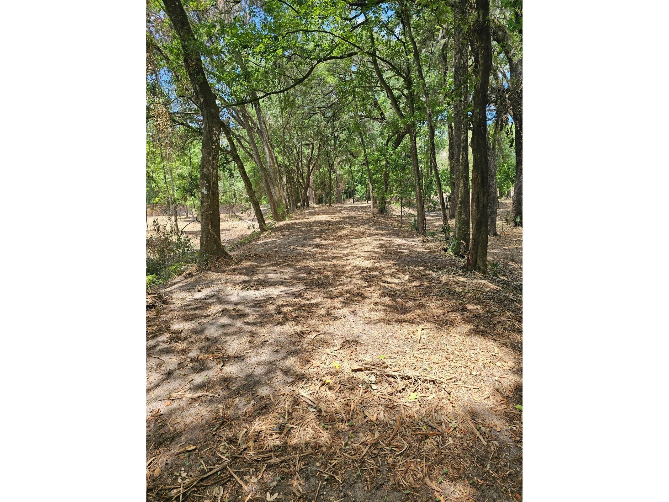 359 Savannah Oaks Drive Brooksville FL 34602 TB8389997 image10