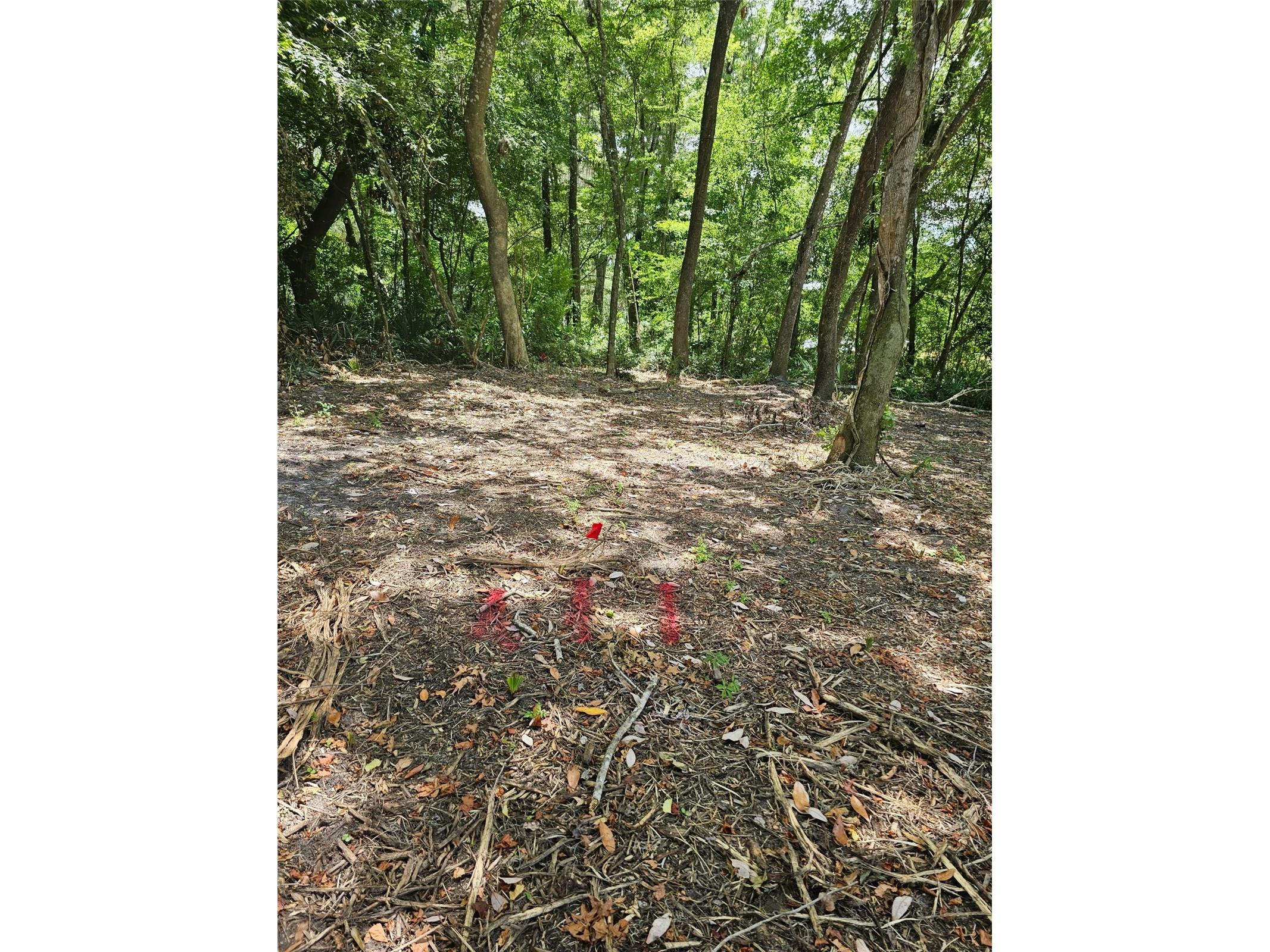 359 Savannah Oaks Drive Brooksville FL 34602 TB8389997 image11