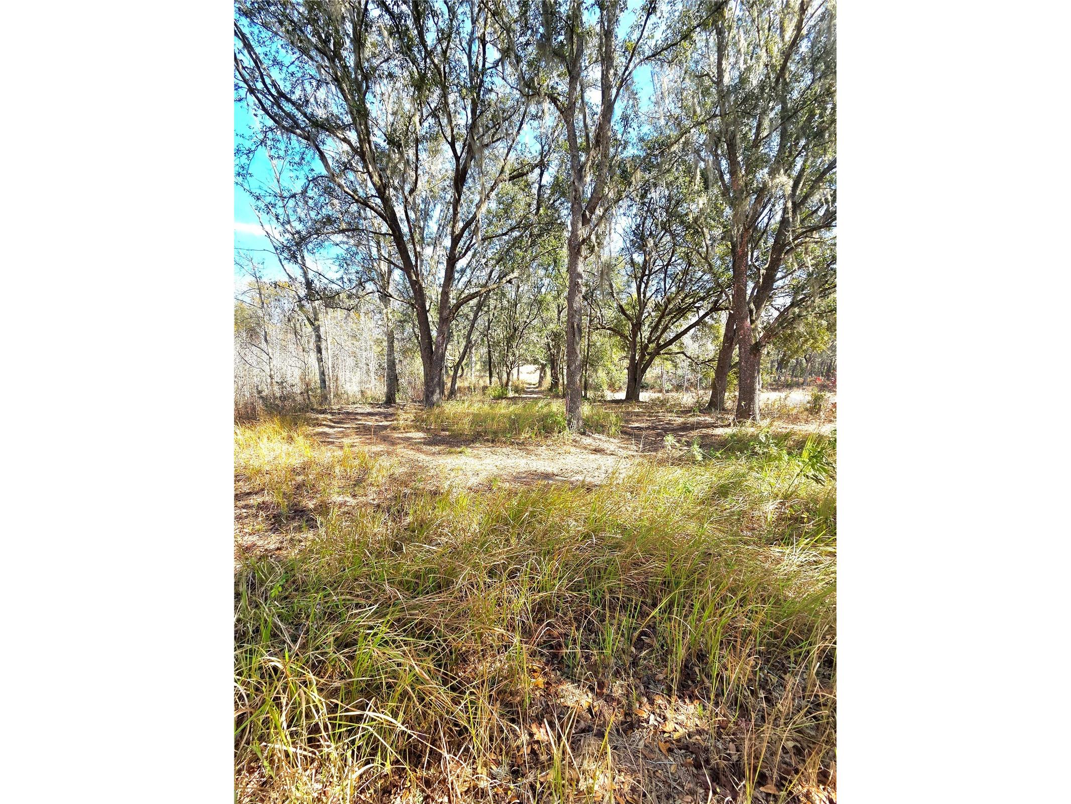 359 Savannah Oaks Drive Brooksville FL 34602 TB8389997 image14