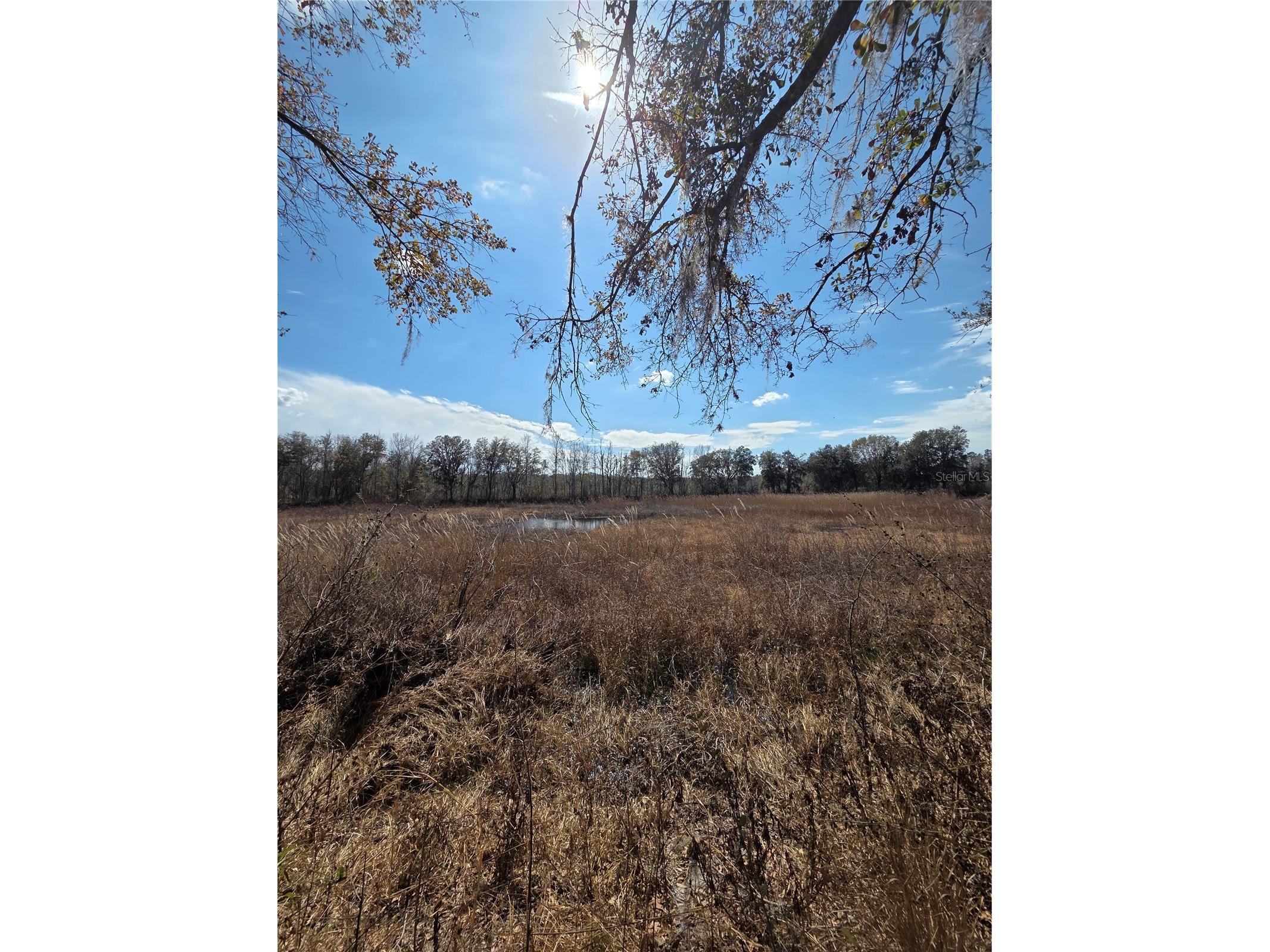 359 Savannah Oaks Drive Brooksville FL 34602 TB8389997 image16