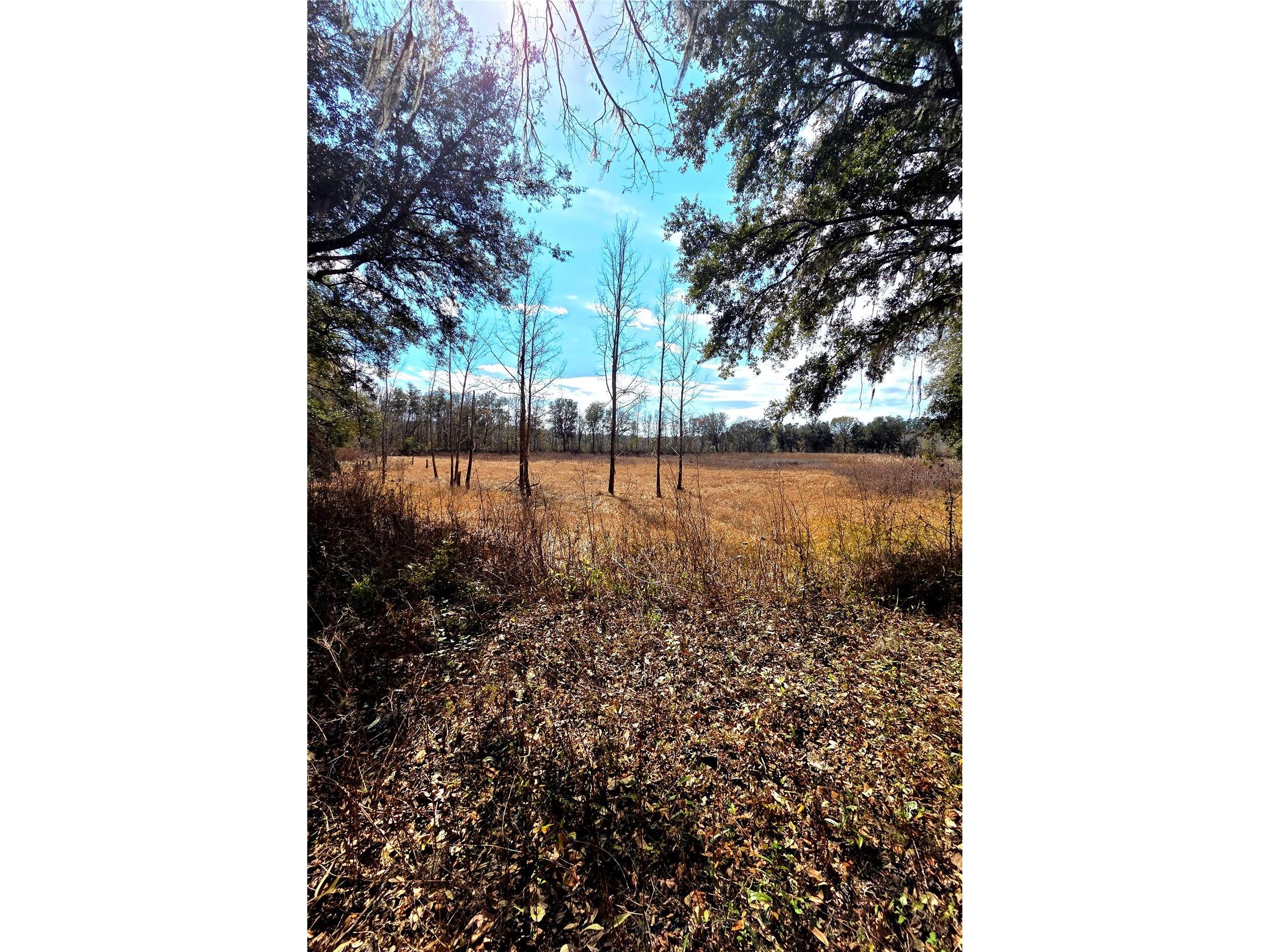 359 Savannah Oaks Drive Brooksville FL 34602 TB8389997 image20