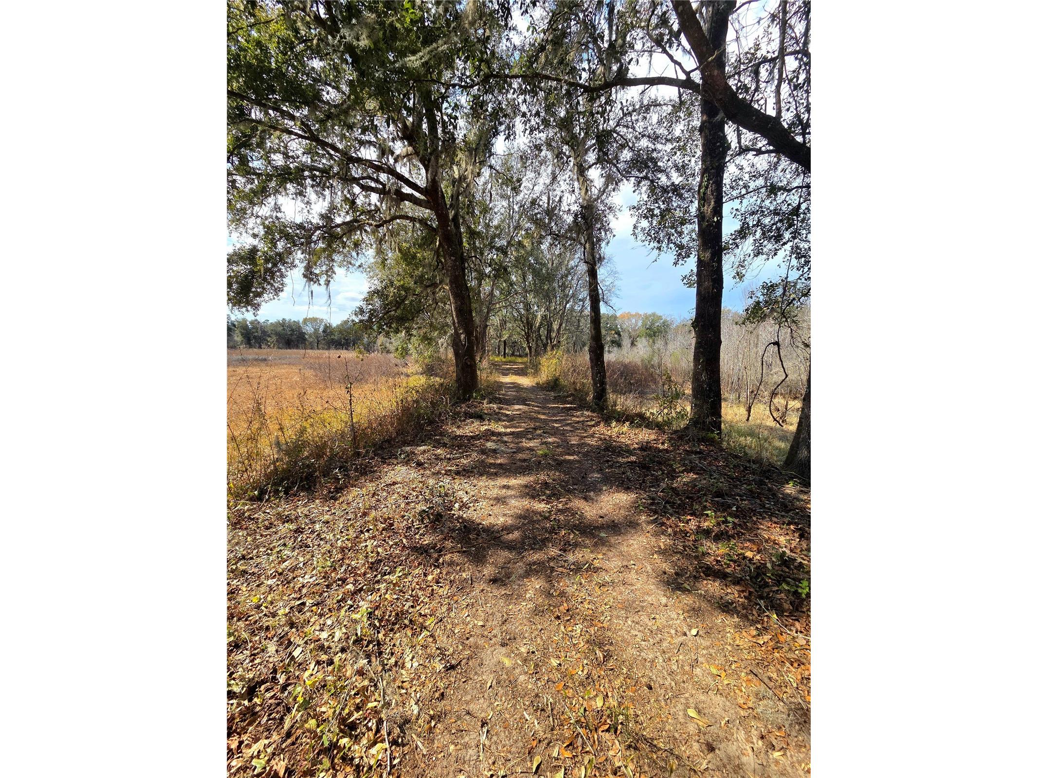 359 Savannah Oaks Drive Brooksville FL 34602 TB8389997 image21