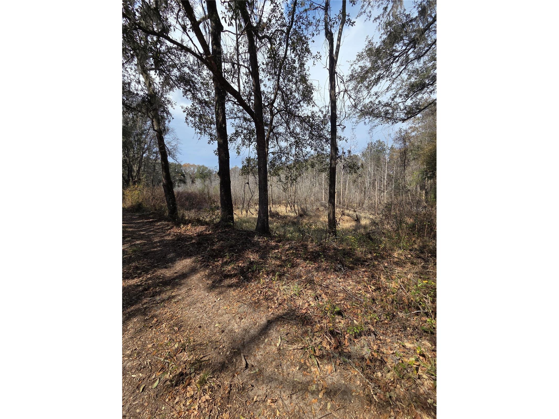 359 Savannah Oaks Drive Brooksville FL 34602 TB8389997 image22