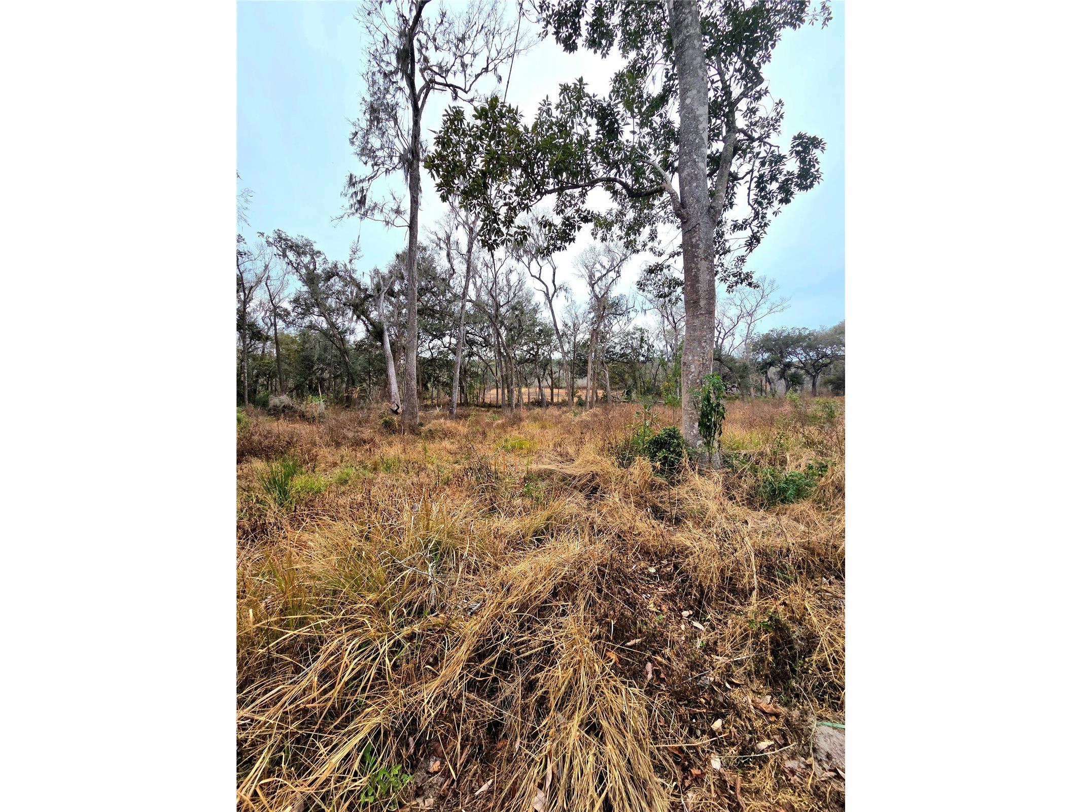 359 Savannah Oaks Drive Brooksville FL 34602 TB8389997 image28