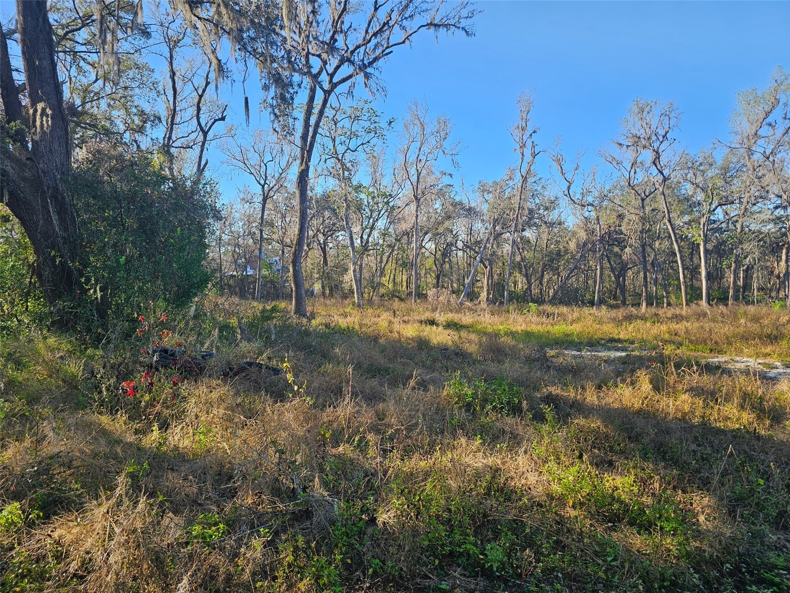 359 Savannah Oaks Drive Brooksville FL 34602 TB8389997 image5