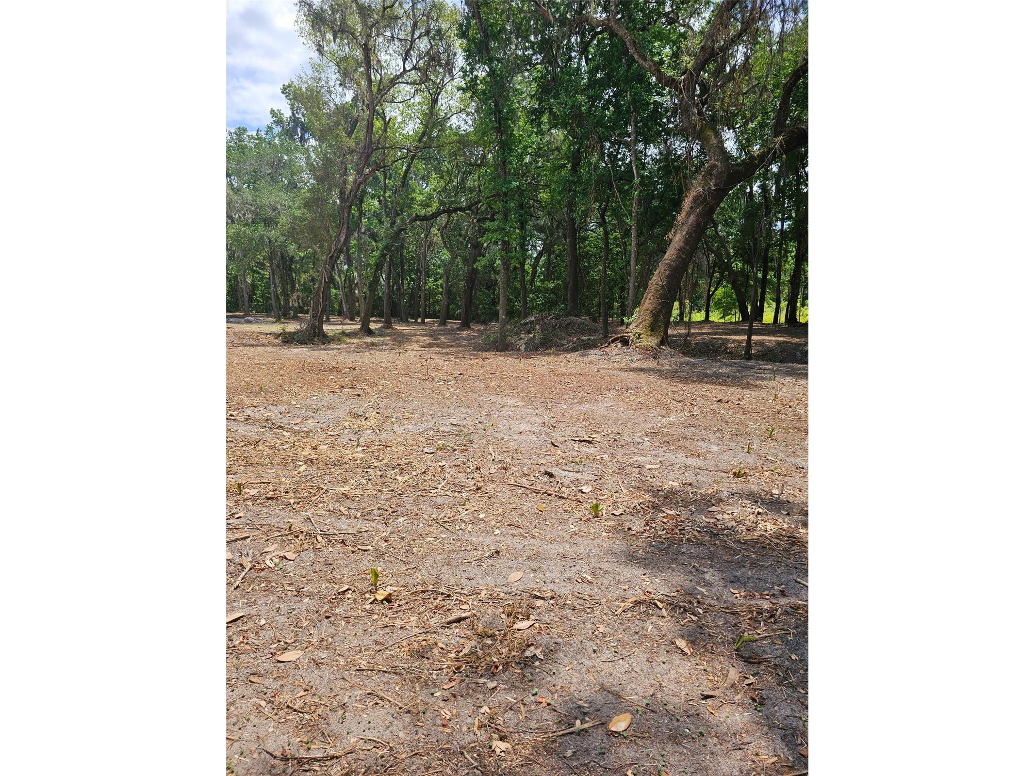 359 Savannah Oaks Drive Brooksville FL 34602 TB8389997 image8