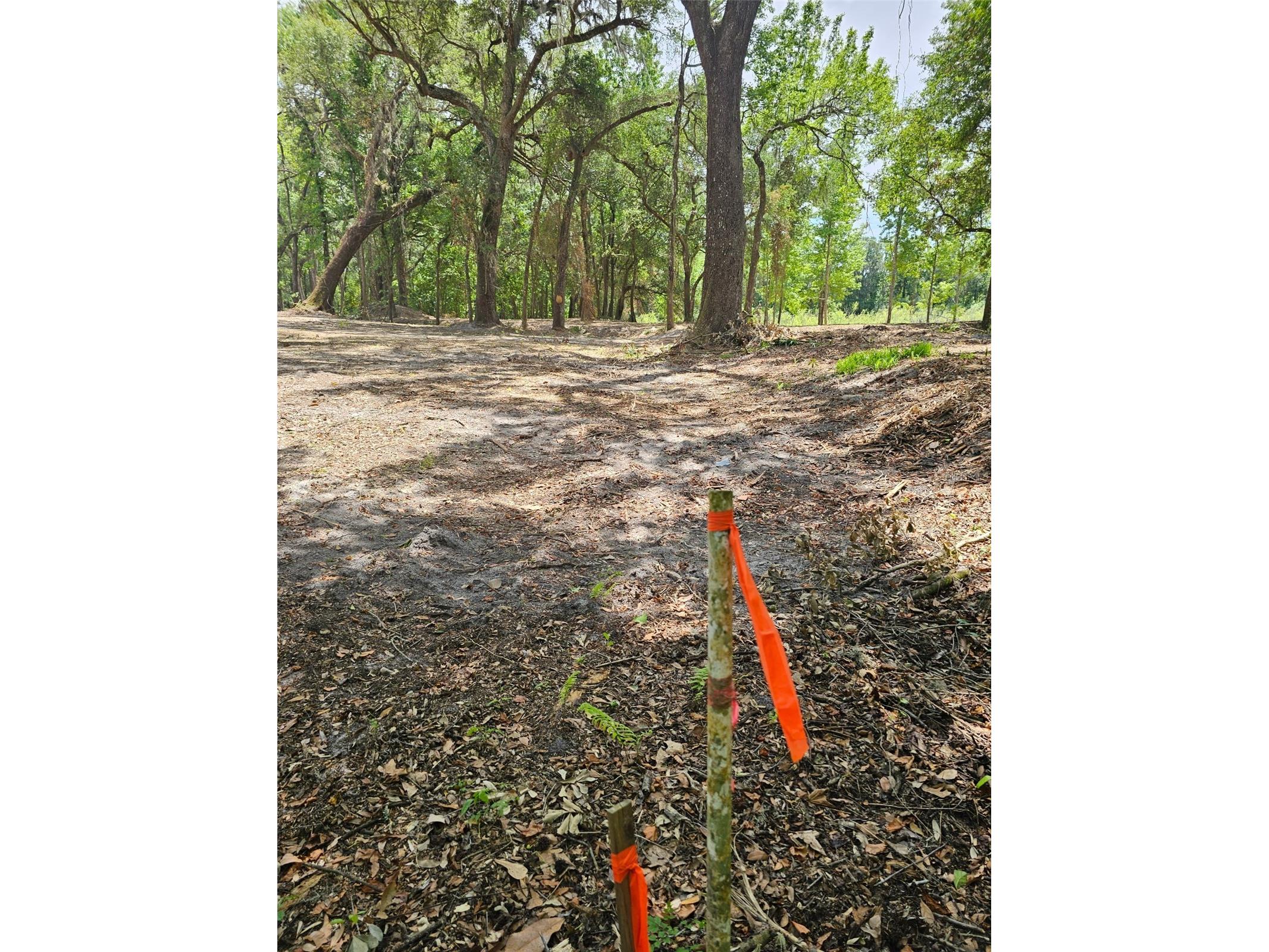 359 Savannah Oaks Drive Brooksville FL 34602 TB8389997 image9