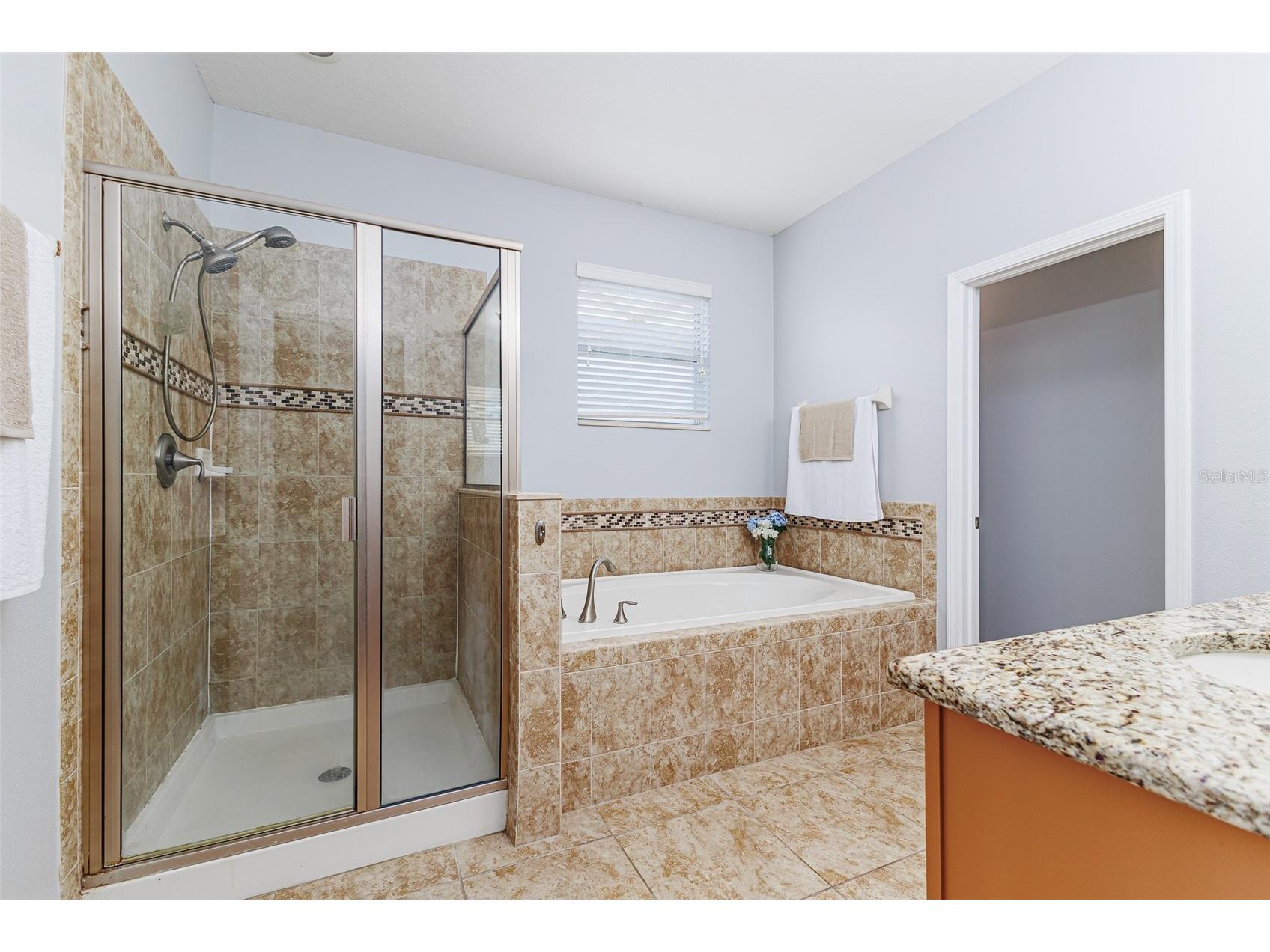 3590 Cortland Drive Davenport FL 33837 P4935818 image27