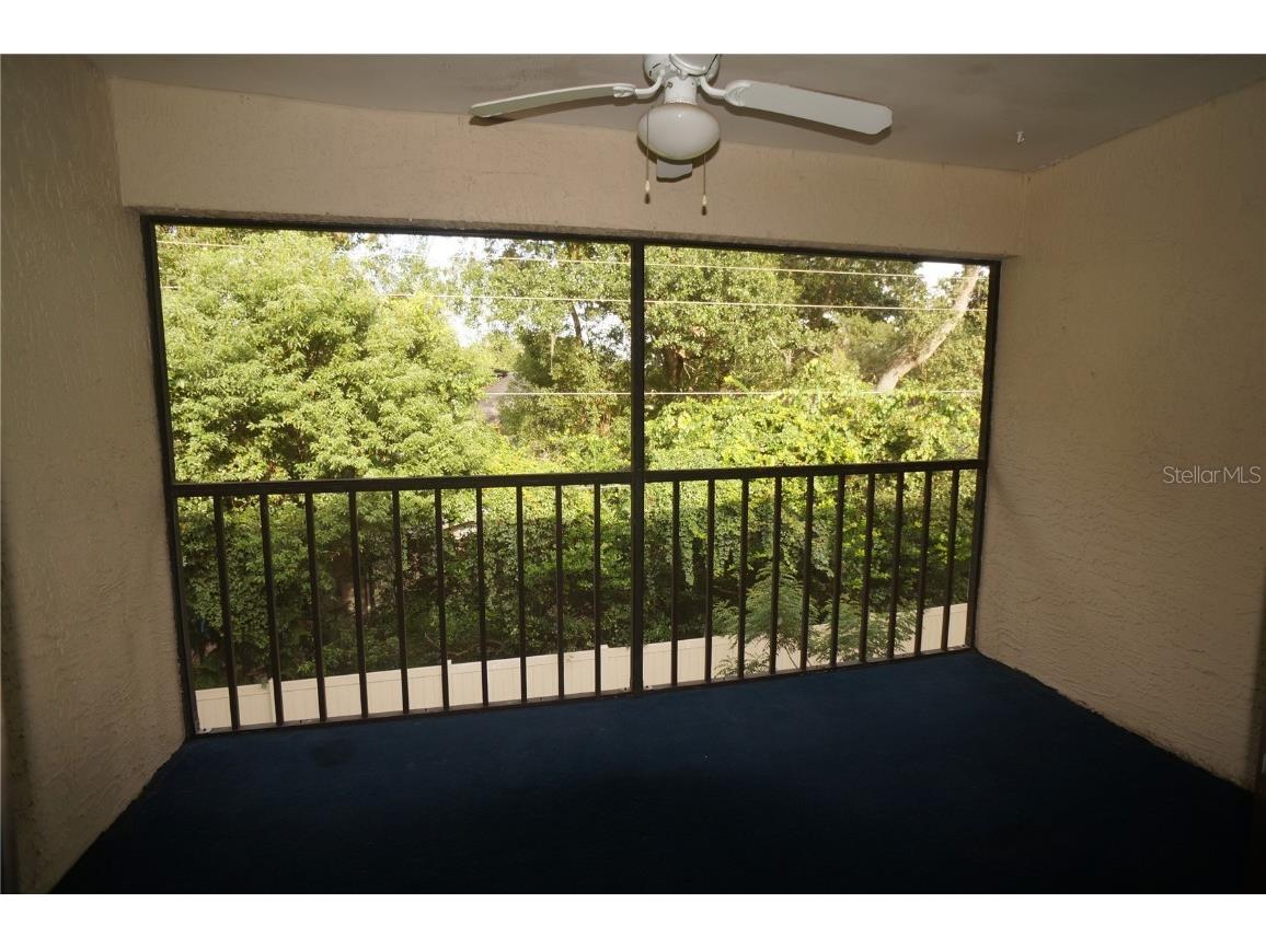 3590 Magnolia Ridge Circle #1121 (G) Palm Harbor FL 34684 TB8423028 image13
