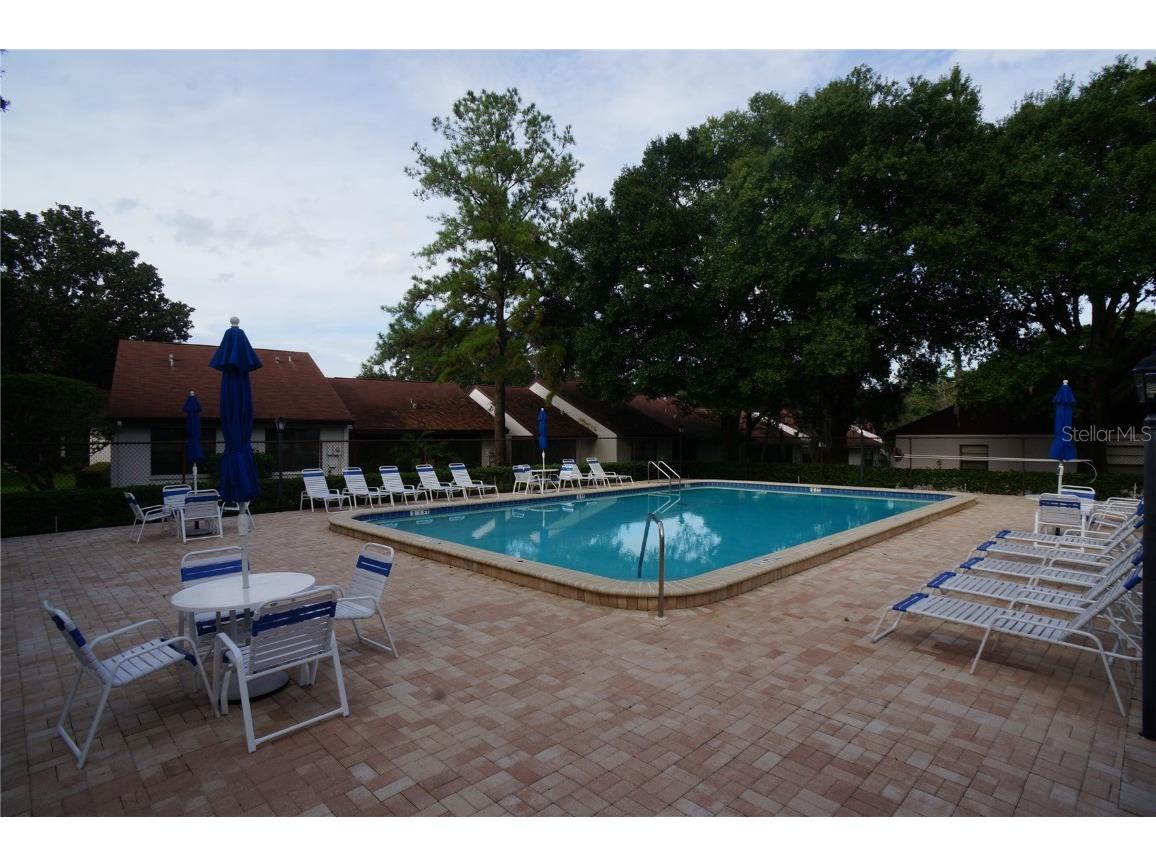 3590 Magnolia Ridge Circle #1121 (G) Palm Harbor FL 34684 TB8423028 image14