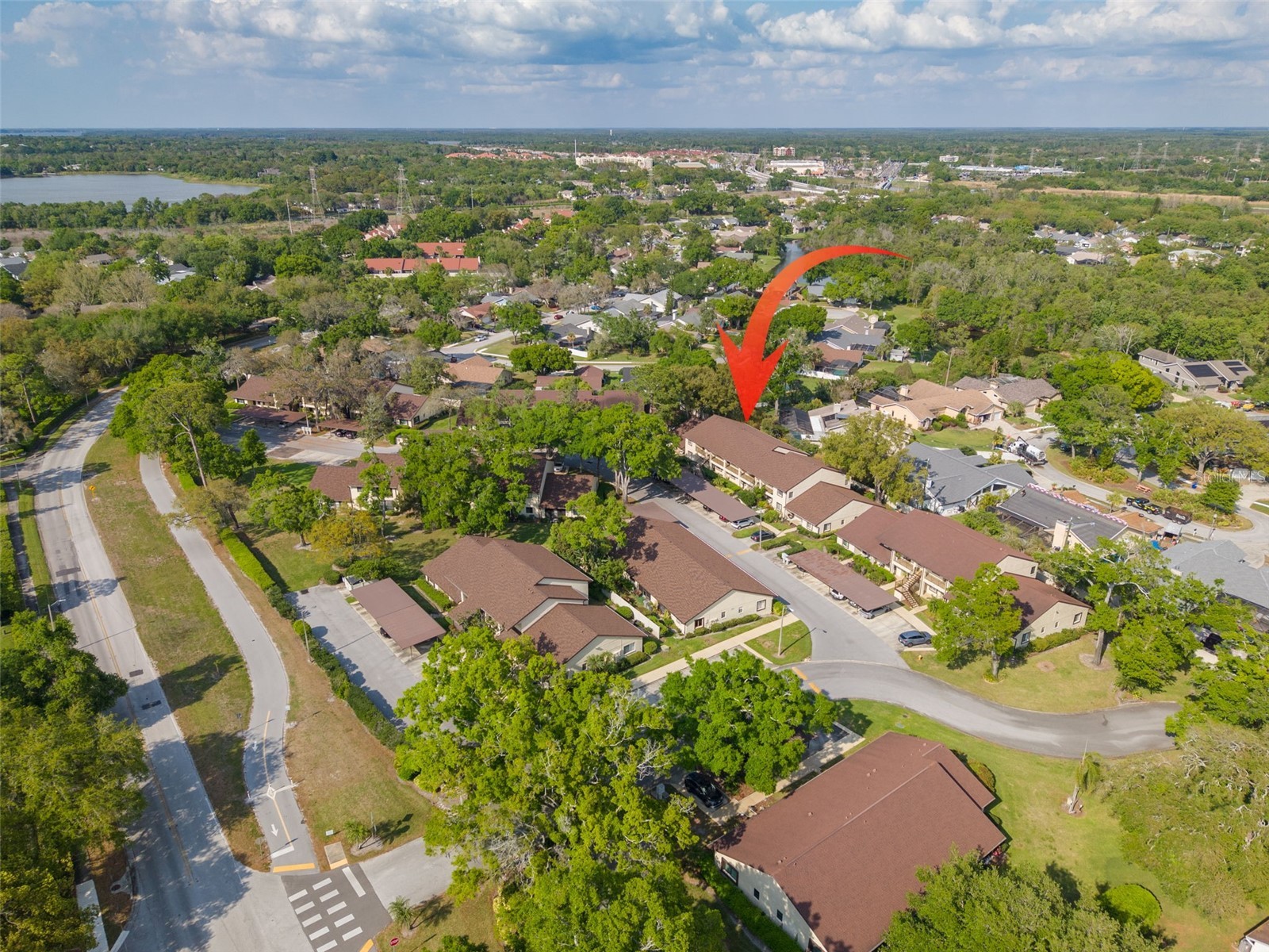 3590 Magnolia Ridge Circle #C-1103 Palm Harbor FL 34684 TB8503596 image24